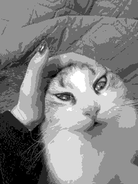 日誌の画像