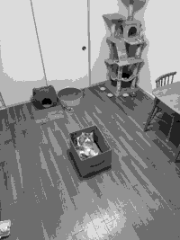 日誌の画像