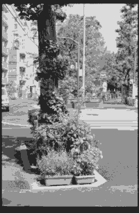 日誌の画像