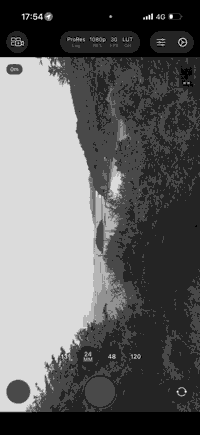 日誌の画像