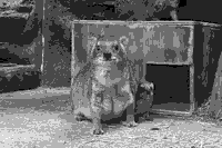 日誌の画像