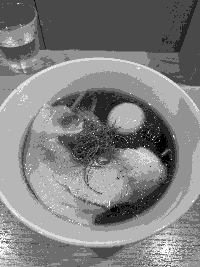 日誌の画像