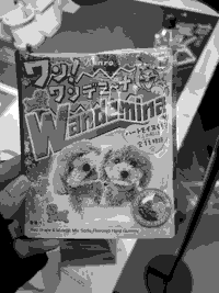 日誌の画像